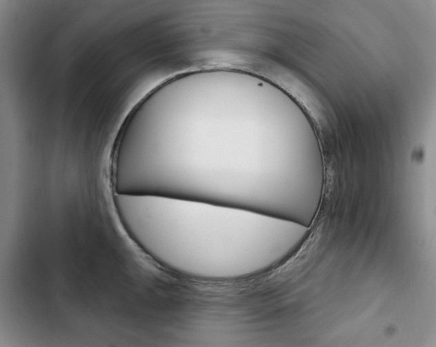 X0000103151047200808221124