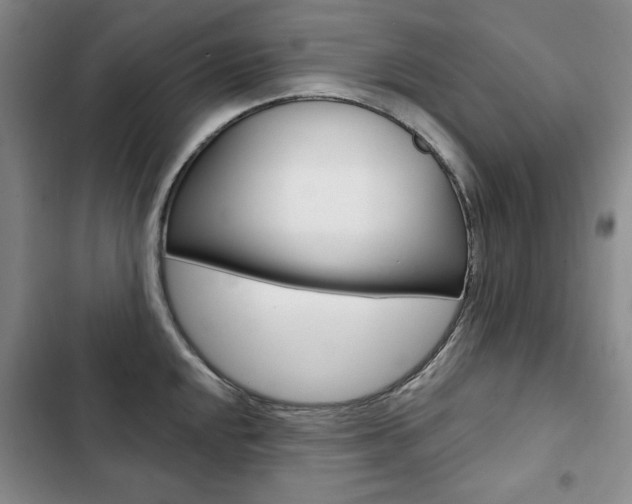 X0000103151048200808221124