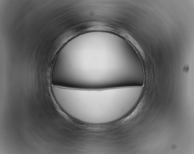 X0000103151049200808221124