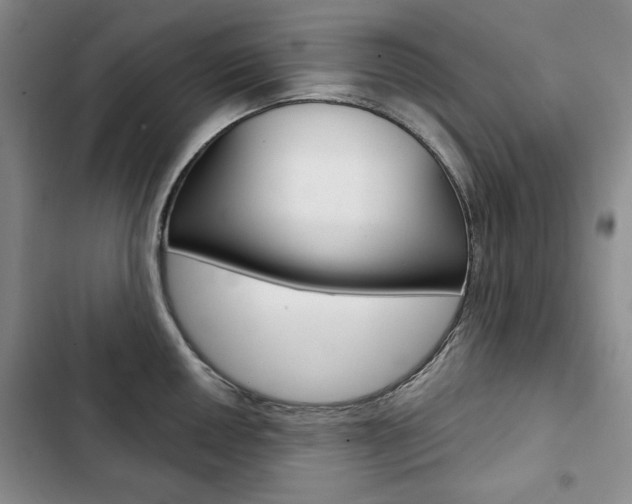 X0000103151050200808221124