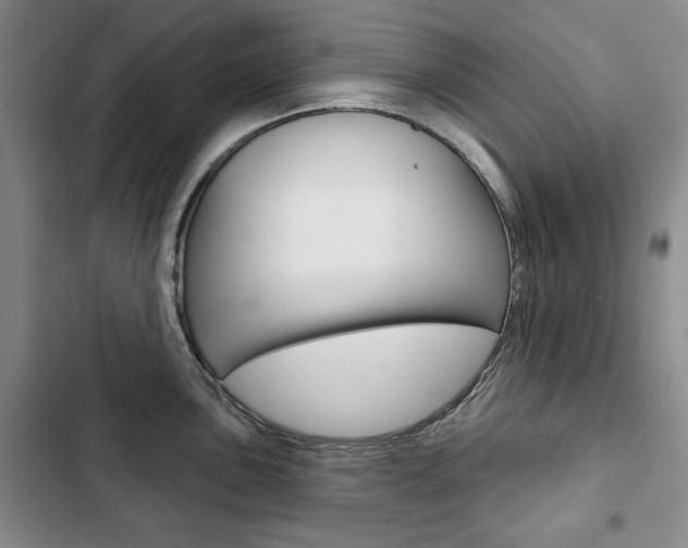 X0000103151051200808221124