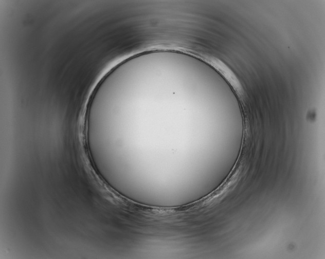 X0000103151052200808221124
