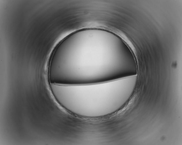 X0000103151053200808221124
