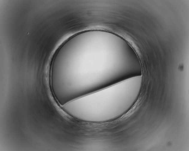 X0000103151054200808221124