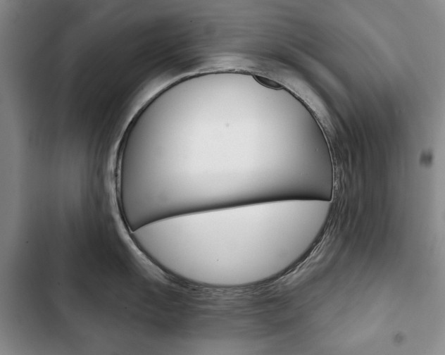 X0000103151055200808221124