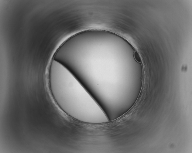 X0000103151056200808221124