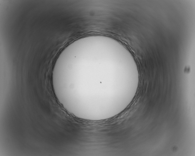 X0000103151057200808221123