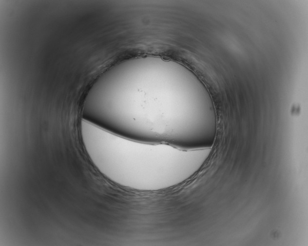 X0000103151058200808221123