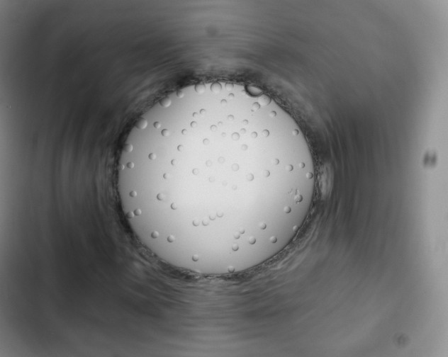 X0000103151059200808221123