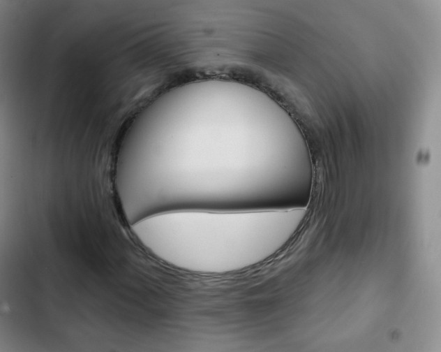 X0000103151060200808221123