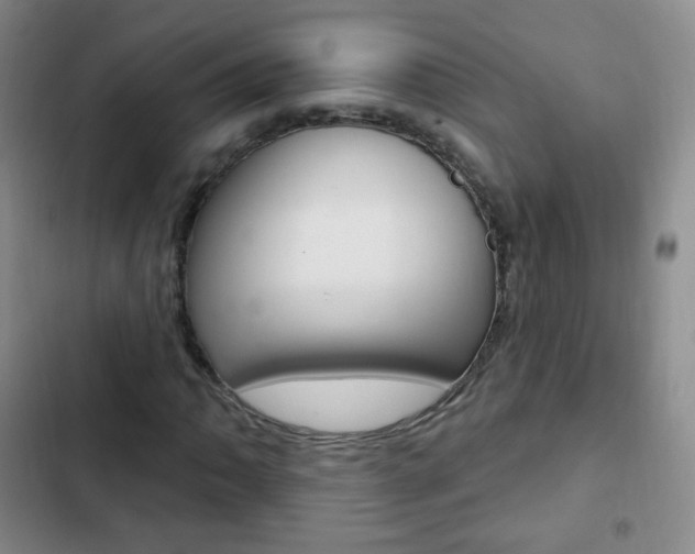 X0000103151062200808221123