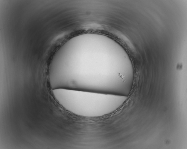 X0000103151063200808221123