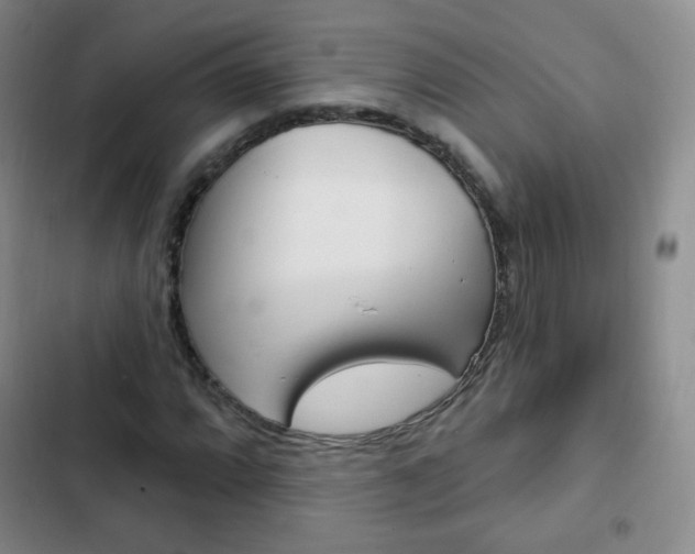 X0000103151064200808221123