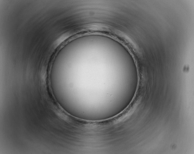 X0000103151065200808221123