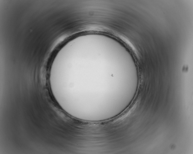 X0000103151067200808221123