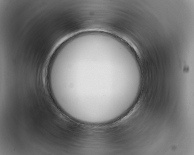 X0000103151069200808221123