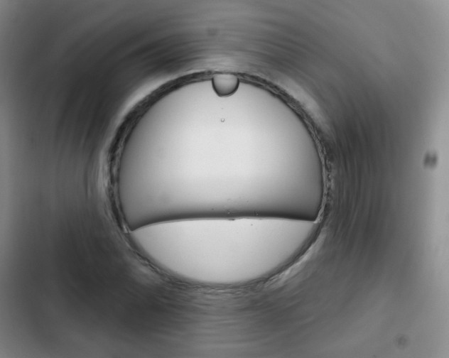 X0000103151070200808221123