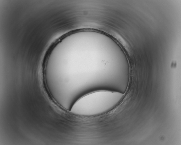 X0000103151072200808221123