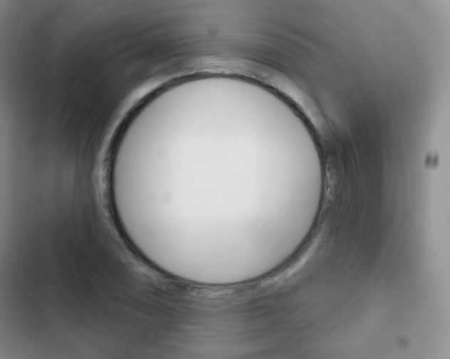 X0000103151074200808221123