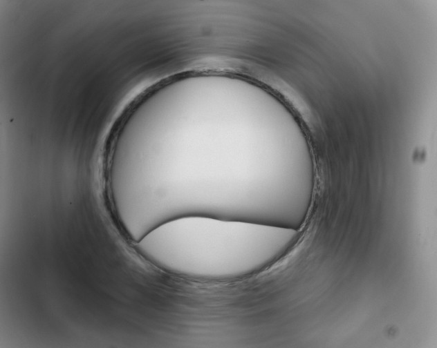 X0000103151075200808221123