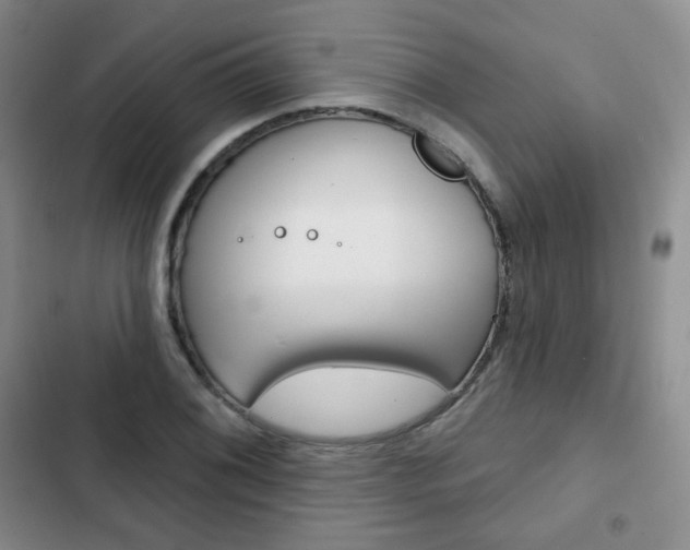 X0000103151076200808221123