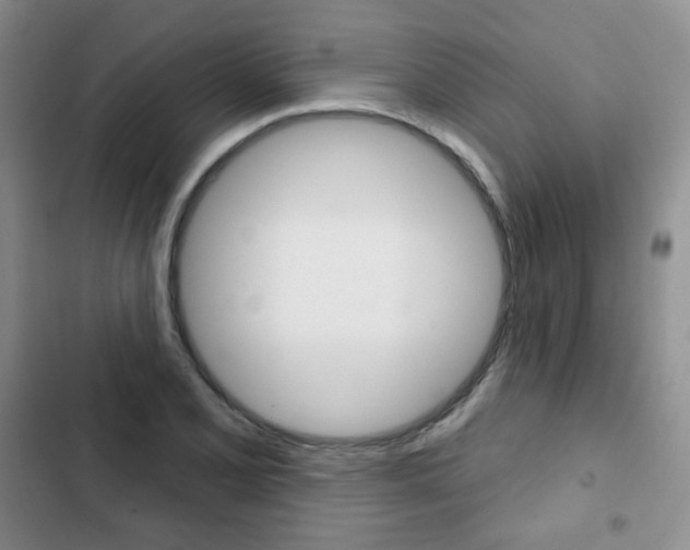 X0000103151077200808221123