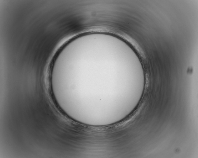 X0000103151078200808221123