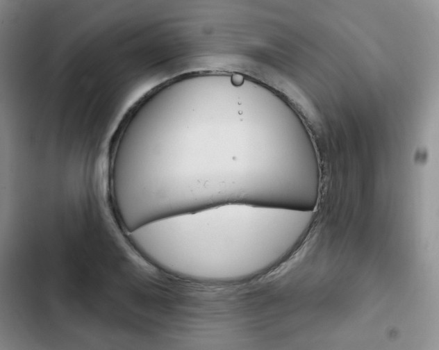 X0000103151079200808221123
