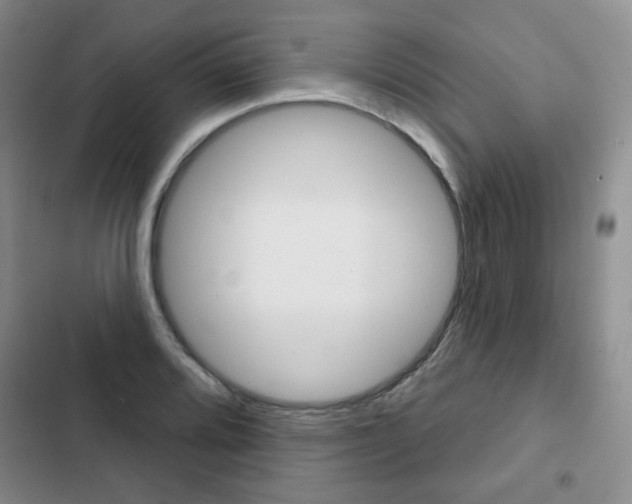 X0000103151080200808221123