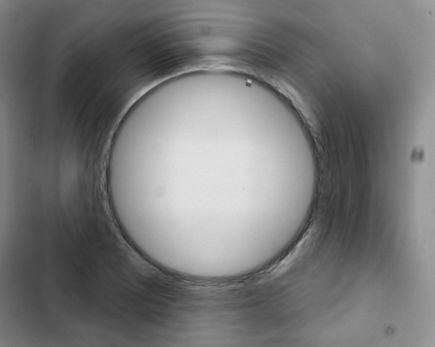 X0000103151081200808221123