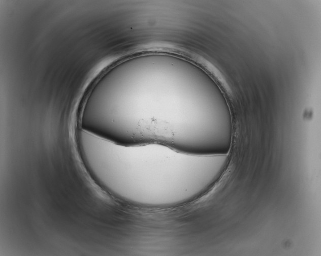 X0000103151082200808221123
