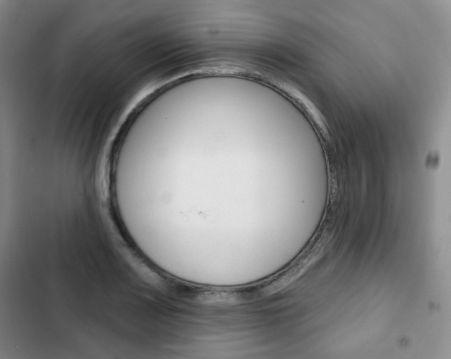 X0000103151083200808221123