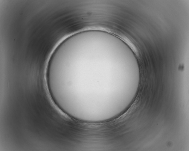 X0000103151084200808221123