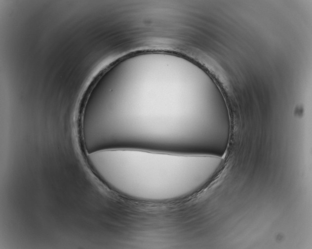 X0000103151085200808221122