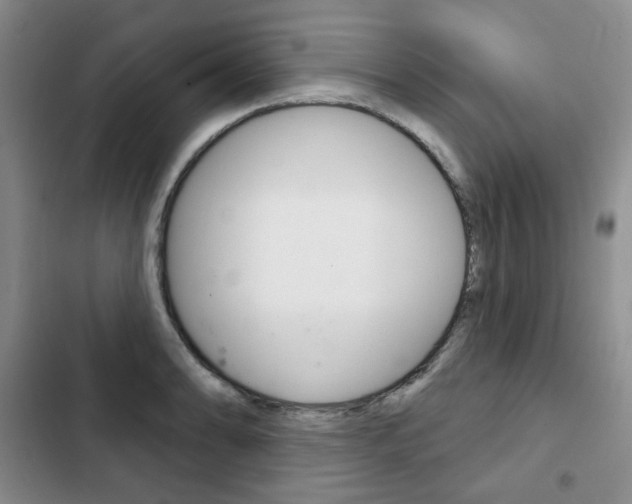 X0000103151086200808221122