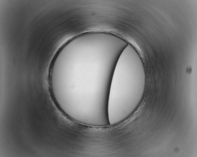 X0000103151087200808221122