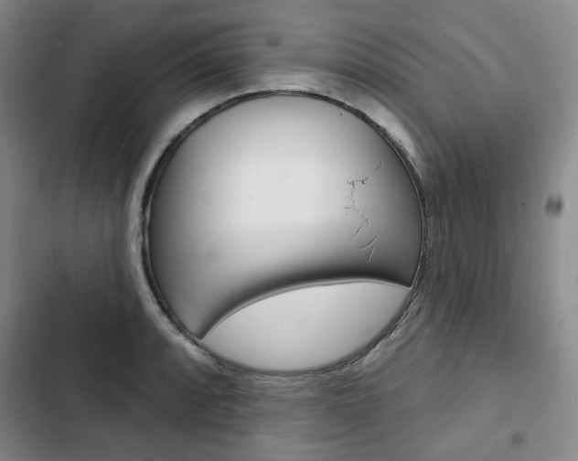 X0000103151088200808221122