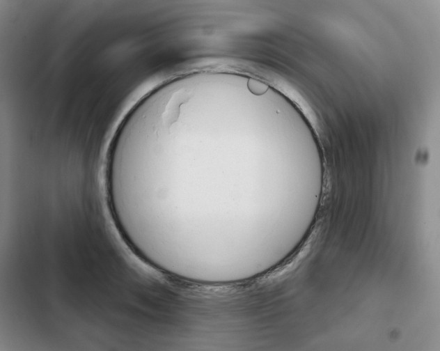 X0000103151090200808221122