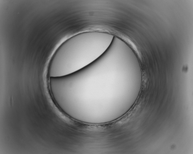 X0000103151091200808221122