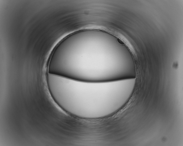 X0000103151092200808221122