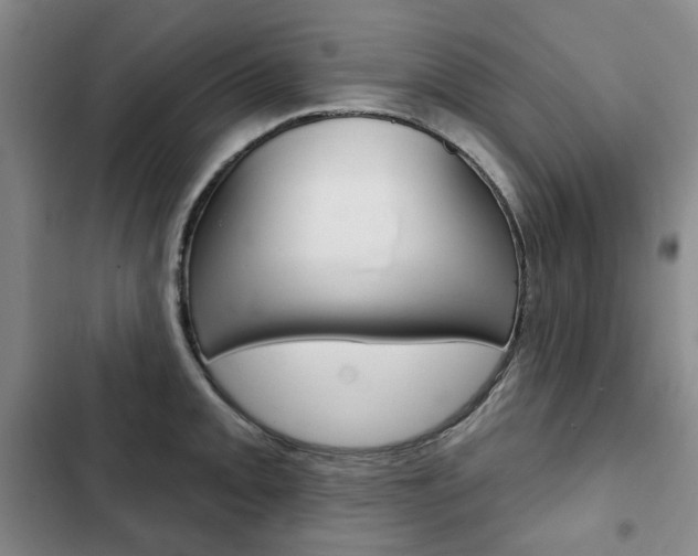 X0000103151093200808221122