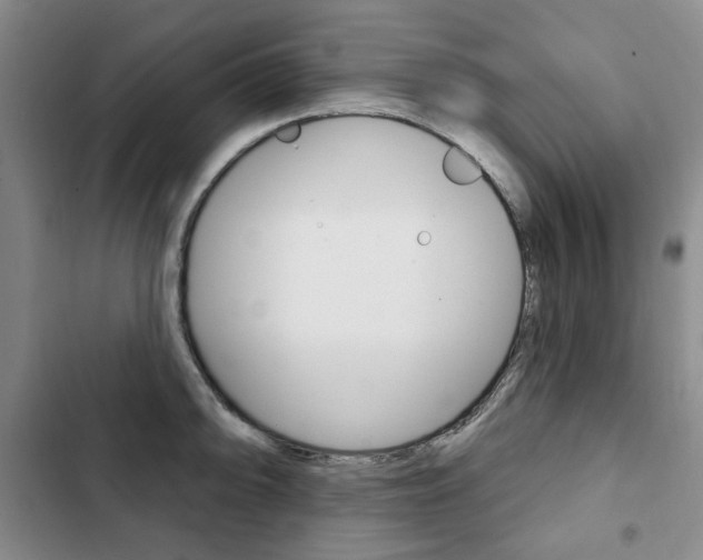 X0000103151094200808221122