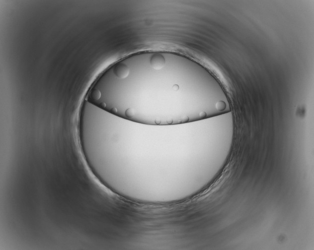 X0000103151095200808221122