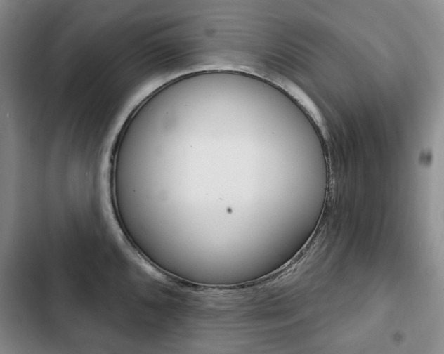 X0000103151096200808221122
