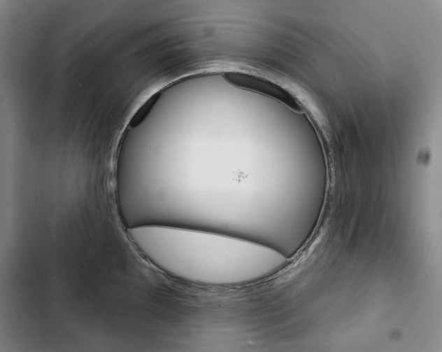 X0000103151097200808221122