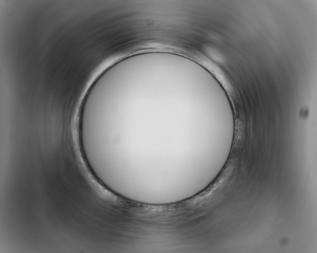 X0000103151098200808221122