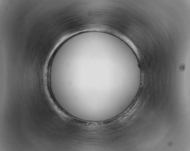 X0000103151099200808221122