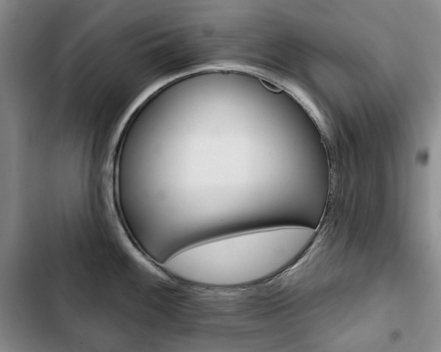 X0000103151100200808221122