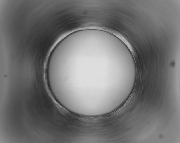 X0000103151101200808221122
