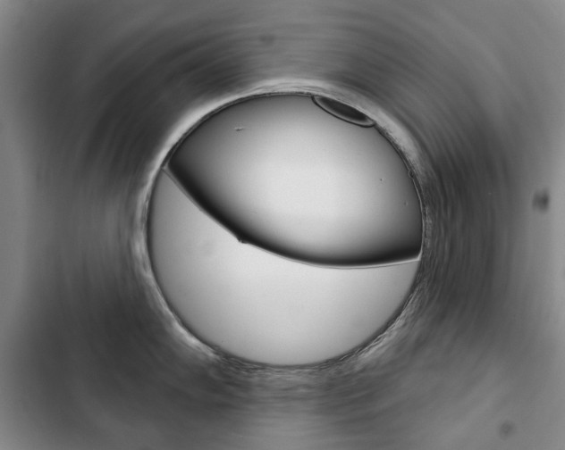 X0000103151102200808221122